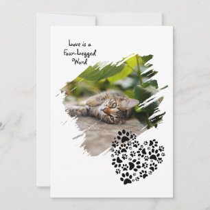 Cartes Pour Fêtes Annuelles Chien Chat Animal Photo Personnalisée Patte Saint-