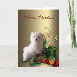 Cartes Pour Fêtes Annuelles Chien chiot maltais Noël