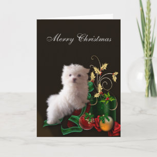 Cartes Pour Fêtes Annuelles Chien chiot maltais Noël