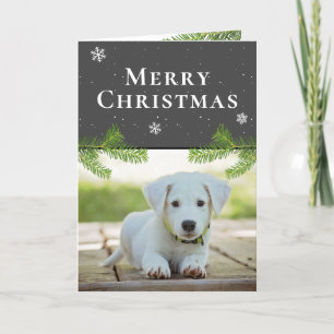 Cartes Pour Fêtes Annuelles Chien Chiot Photo Pine Snowflakes Joyeux Noël
