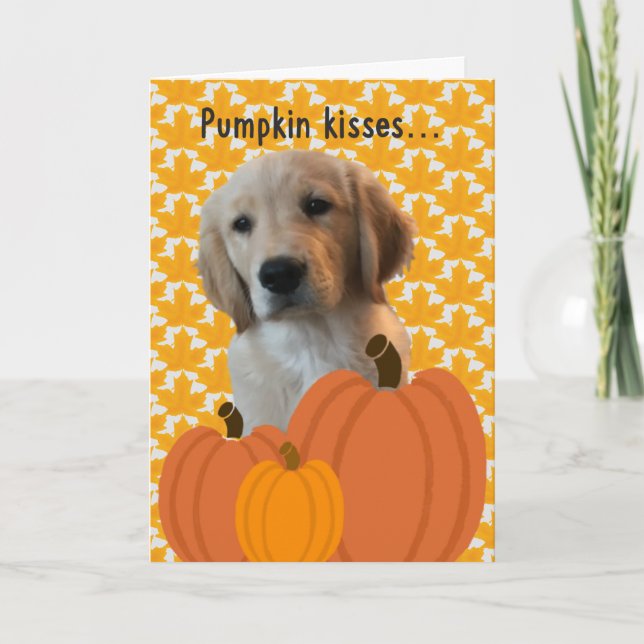 Cartes Pour Fêtes Annuelles Chien Citrouille embrasse Thanksgiving Card (Devant)