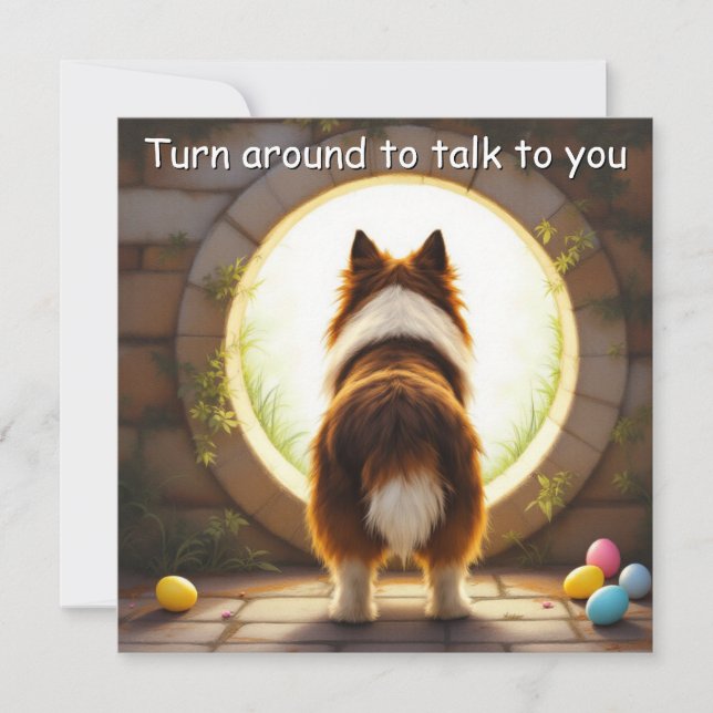 Cartes Pour Fêtes Annuelles Chien colley - avec nom de famille (Devant)