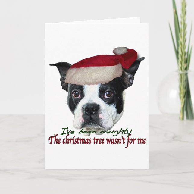 Cartes Pour Fêtes Annuelles Chien coquin (Devant)