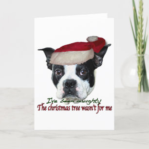 Cartes Pour Fêtes Annuelles Chien coquin