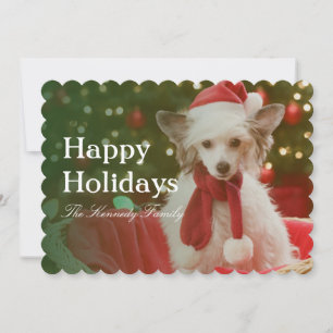 Cartes Pour Fêtes Annuelles Chien crêté chinois se reposant dans le panier