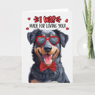 Cartes Pour Fêtes Annuelles Chien de Beauceron fait pour vous aimer Valentine