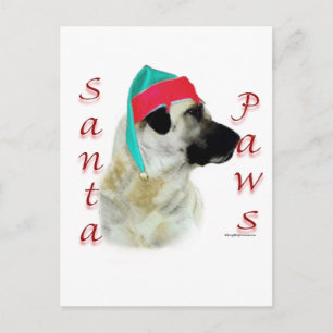Cartes Pour Fêtes Annuelles Chien de Berger de l'Anatolie Père Noël Paws