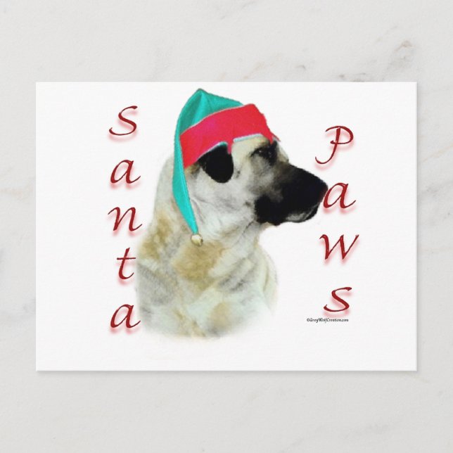 Cartes Pour Fêtes Annuelles Chien de Berger de l'Anatolie Père Noël Paws (Devant)