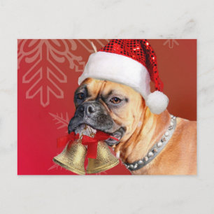 Cartes Pour Fêtes Annuelles Chien de boîte de Noël