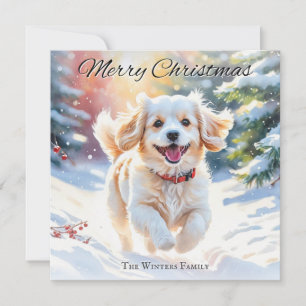 Cartes Pour Fêtes Annuelles Chien de Cavachi à Noël de neige