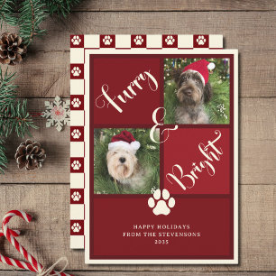 Cartes Pour Fêtes Annuelles Chien de collection photo rouge vif et furie