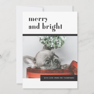 Cartes Pour Fêtes Annuelles Chien de fête moderne / Chien de taule français / 
