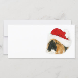 Cartes Pour Fêtes Annuelles Chien de Guinée Père Noël