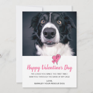 Cartes Pour Fêtes Annuelles Chien de la Saint-Valentin