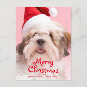 Cartes Pour Fêtes Annuelles Chien de Lhasa Apso utilisant le casquette de Père