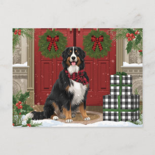 Cartes Pour Fêtes Annuelles Chien de Montagne bernois Plaid Christmas