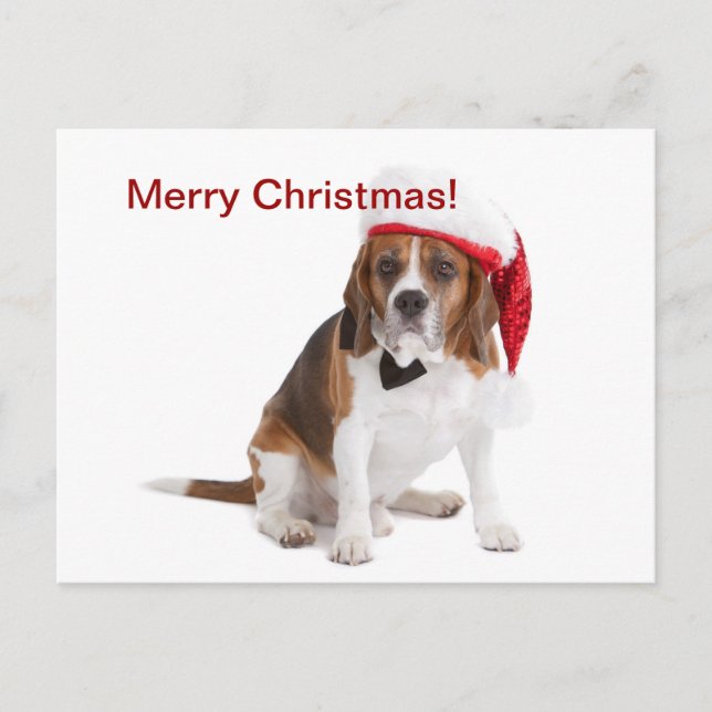 Cartes Pour Fêtes Annuelles Chien de Noël (Devant)