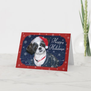 Cartes Pour Fêtes Annuelles Chien de Noël