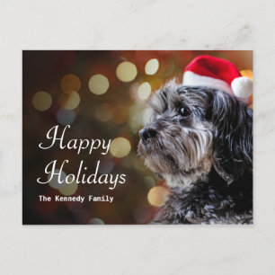 Cartes Pour Fêtes Annuelles Chien De Noël En Attente De Père Noël