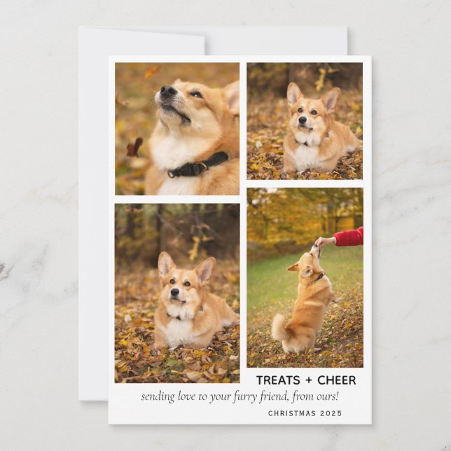 Cartes Pour Fêtes Annuelles Chien de Noël moderne photo Collage animal (Devant)