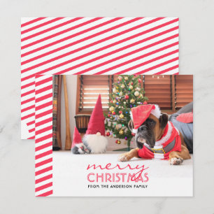 Cartes Pour Fêtes Annuelles Chien de Noël Red Stripes