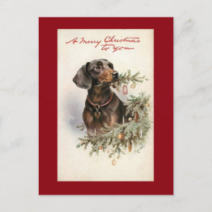 Cartes Pour Fêtes Annuelles Chien de Noël Vintage