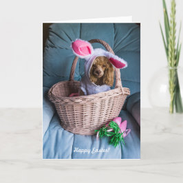 Cartes Pour Fêtes Annuelles Chien de Pâques dans un panier