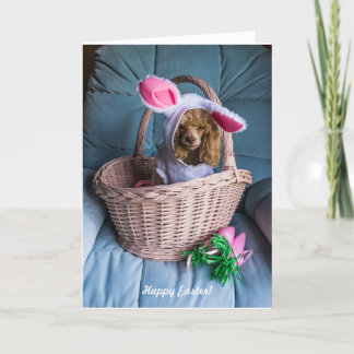 Cartes Pour Fêtes Annuelles Chien de Pâques dans un panier