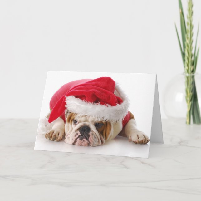 Cartes Pour Fêtes Annuelles Chien de Père Noël (Devant)
