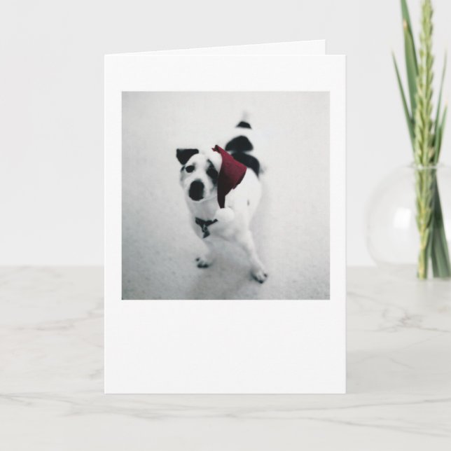 Cartes Pour Fêtes Annuelles Chien de Père Noël (Devant)