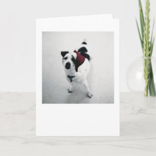 Cartes Pour Fêtes Annuelles Chien de Père Noël