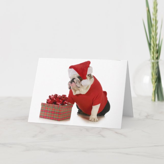 Cartes Pour Fêtes Annuelles Chien de Père Noël - bouledogue anglais habillé (Devant)