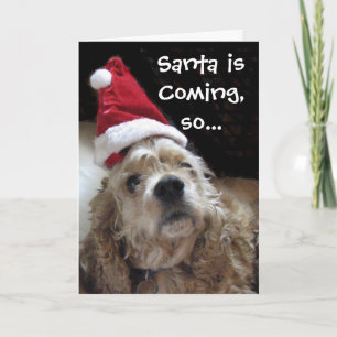 Cartes Pour Fêtes Annuelles Chien de père Noël Chance