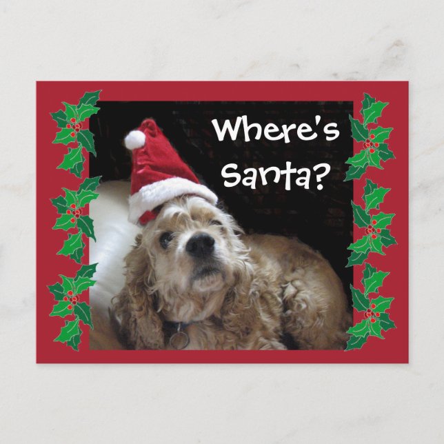 Cartes Pour Fêtes Annuelles Chien de père Noël Chance (Devant)
