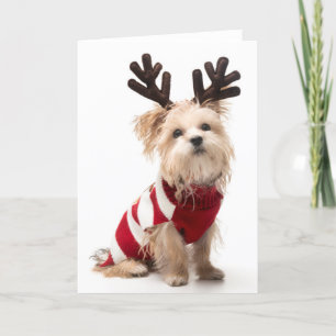 Cartes Pour Fêtes Annuelles Chien de race de Morkie avec des andouillers de