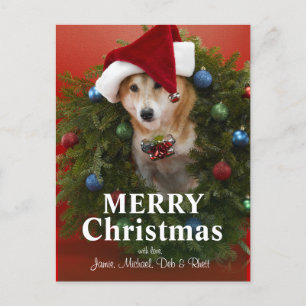 Cartes Pour Fêtes Annuelles Chien de Shiba Inu se reposant en guirlande de