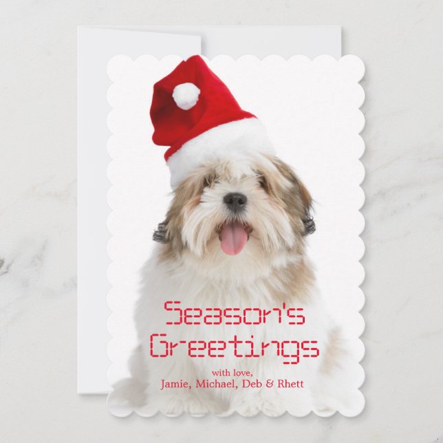 Cartes Pour Fêtes Annuelles Chien de sourire de Lhasa Apso utilisant le (Devant)