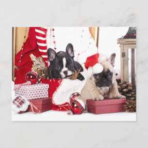 Cartes Pour Fêtes Annuelles Chien de taule français de Noël