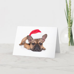 Cartes Pour Fêtes Annuelles Chien de taule français - Noël