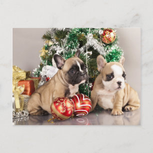 Cartes Pour Fêtes Annuelles Chien de taureau français et cadeaux de Noël