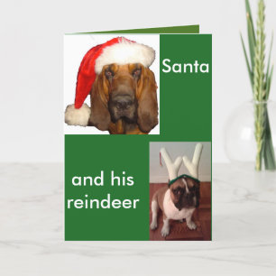 Cartes Pour Fêtes Annuelles Chien de taureaux français de père Noël Bloodhound