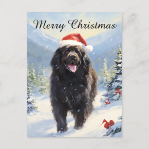 Cartes Pour Fêtes Annuelles Chien de Terre-Neuve