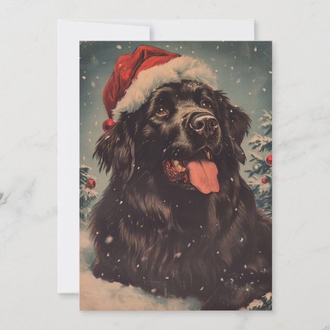 Cartes Pour Fêtes Annuelles Chien de Terre-Neuve (Devant)
