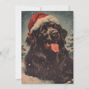 Cartes Pour Fêtes Annuelles Chien de Terre-Neuve