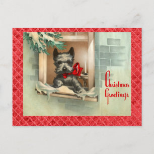 Cartes Pour Fêtes Annuelles Chien écossais noir dans la fenêtre rouge