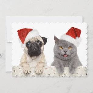Cartes Pour Fêtes Annuelles Chien et chat dans le casquette rouge de Noël
