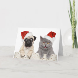 Cartes Pour Fêtes Annuelles Chien Et Chat En Casquette De Noël Rouge