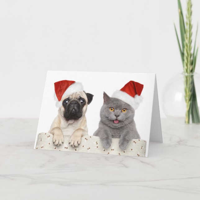 Cartes Pour Fêtes Annuelles Chien Et Chat En Casquette De Noël Rouge (Devant)