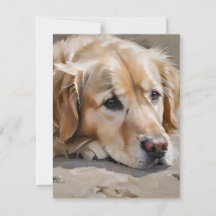Chien F