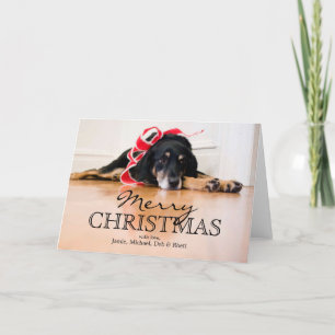 Cartes Pour Fêtes Annuelles Chien fatigué avec des rubans de Noël